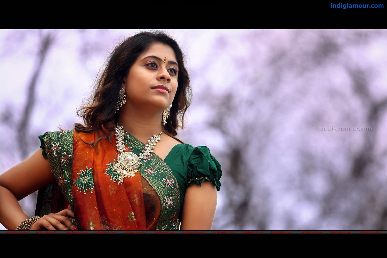 Priyalal Actress hd photo