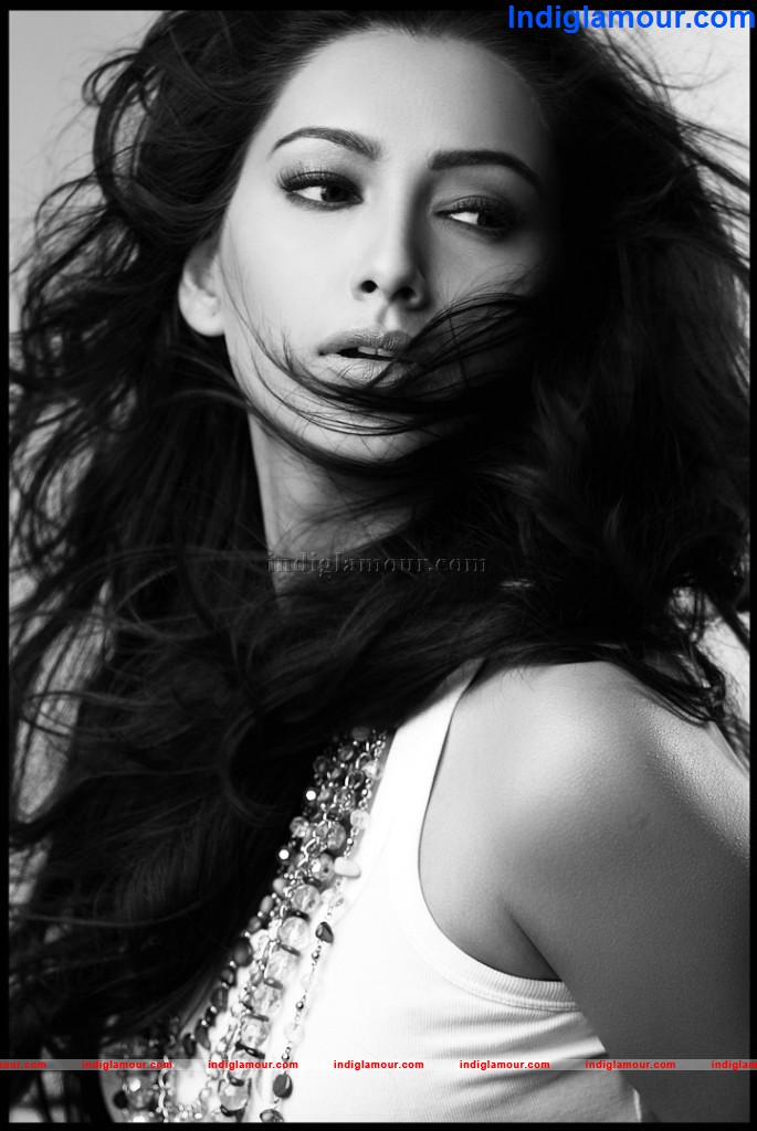 Pallavi Subhash Actress hd photo