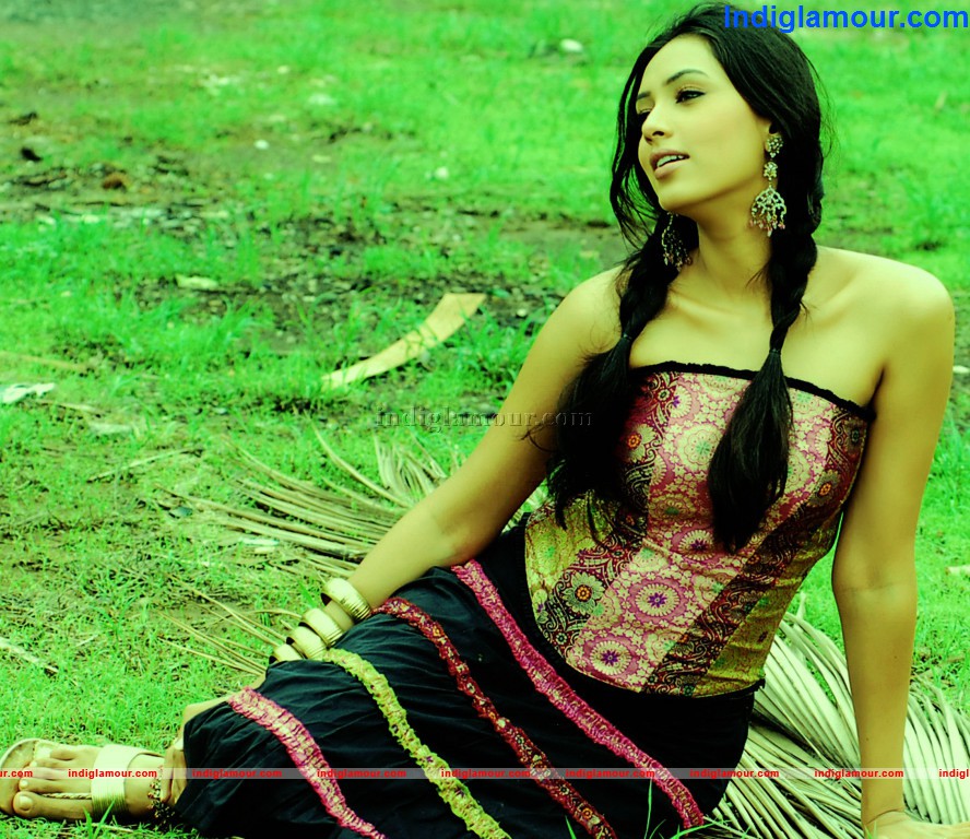 Pallavi Subhash Actress hd photo