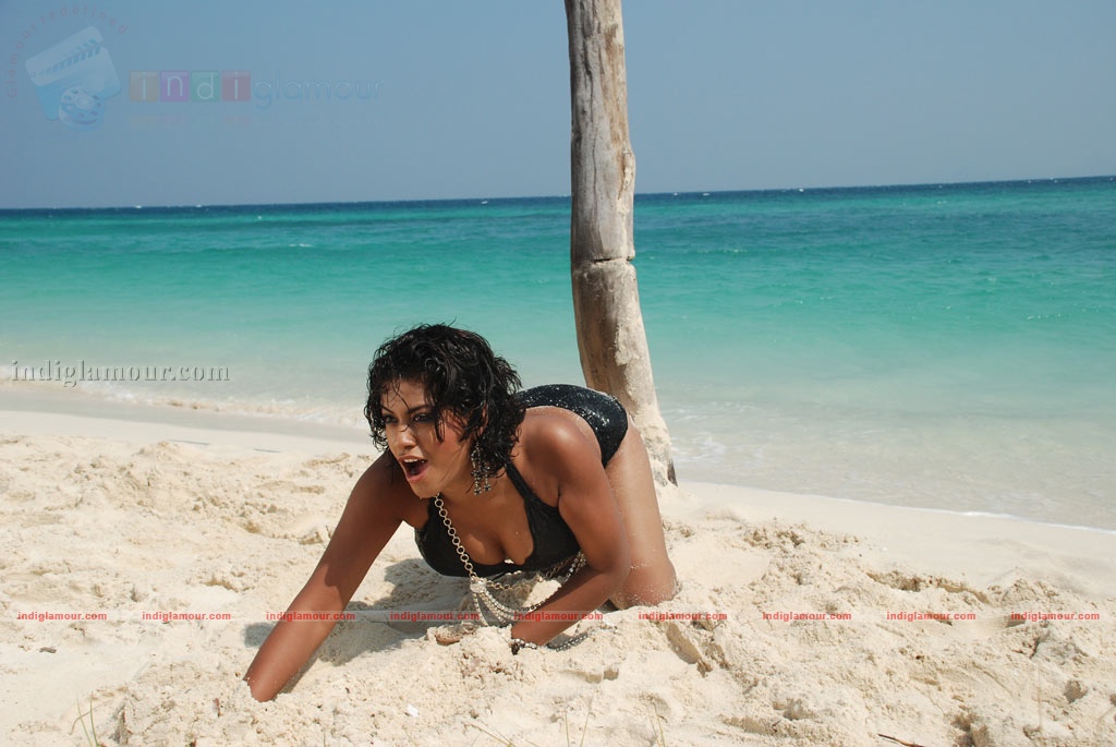 Pournami Nagam Movie hd photo