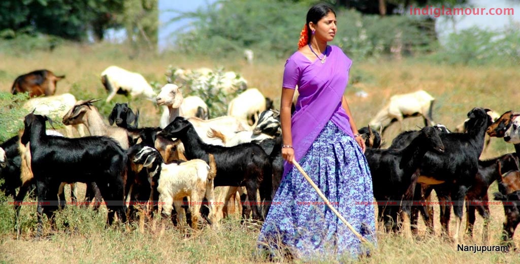 Nanjupuram Movie hd photo