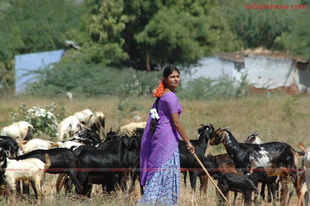 Nanjupuram Movie hd photo