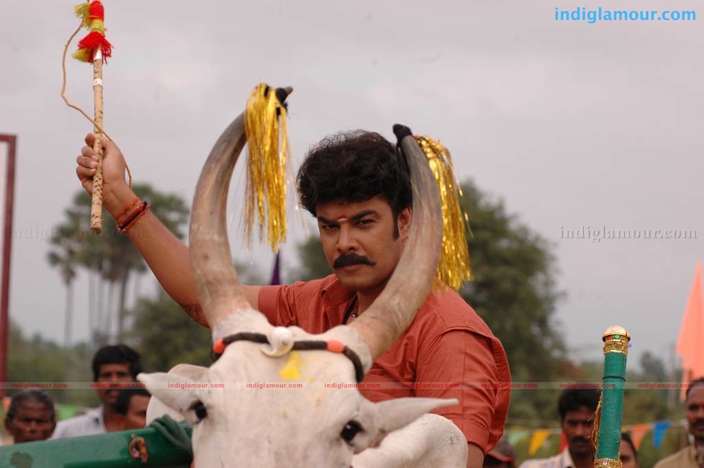Murattu Kaalai Movie hd photo