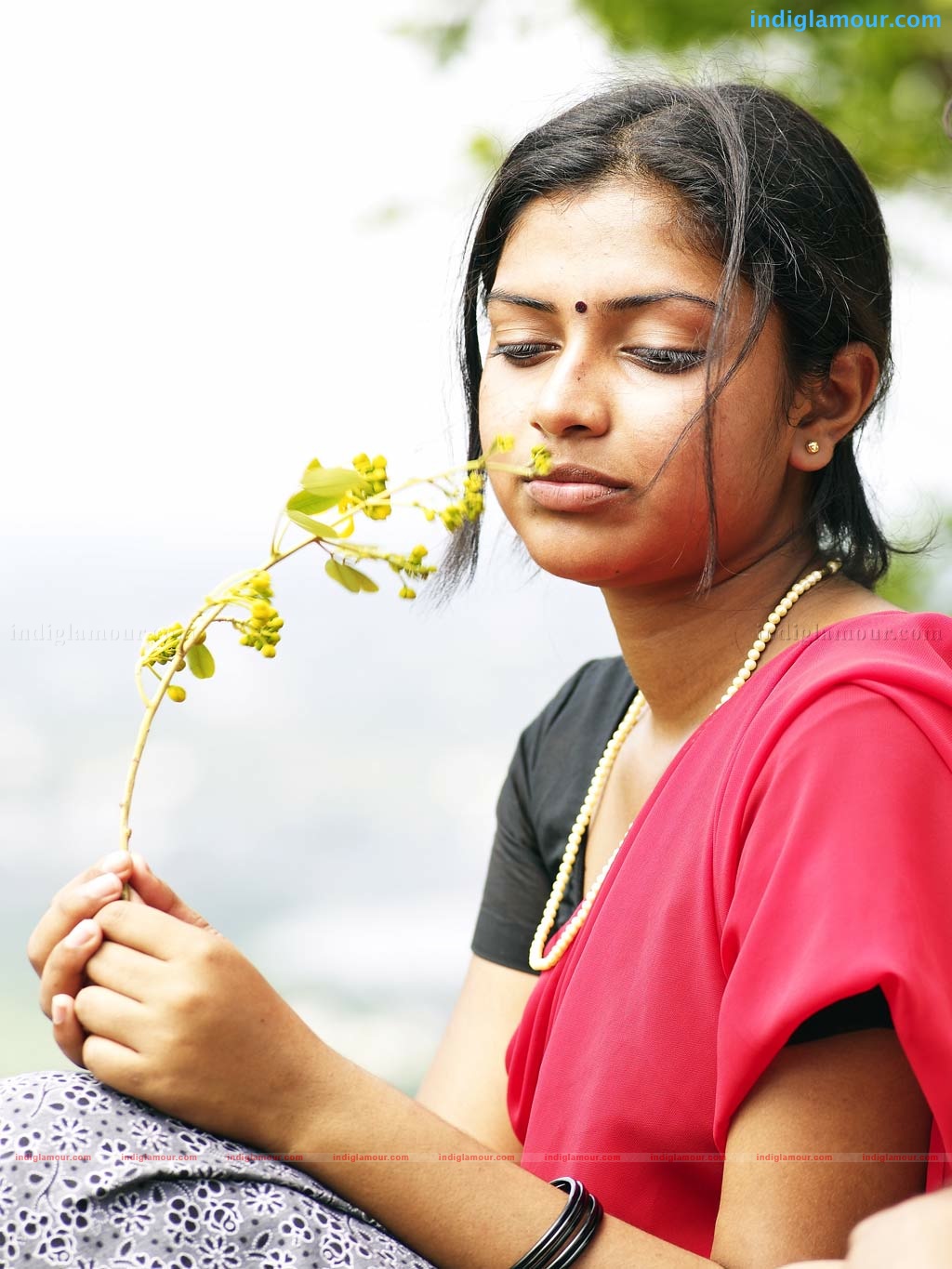 Mynaa Movie hd photo