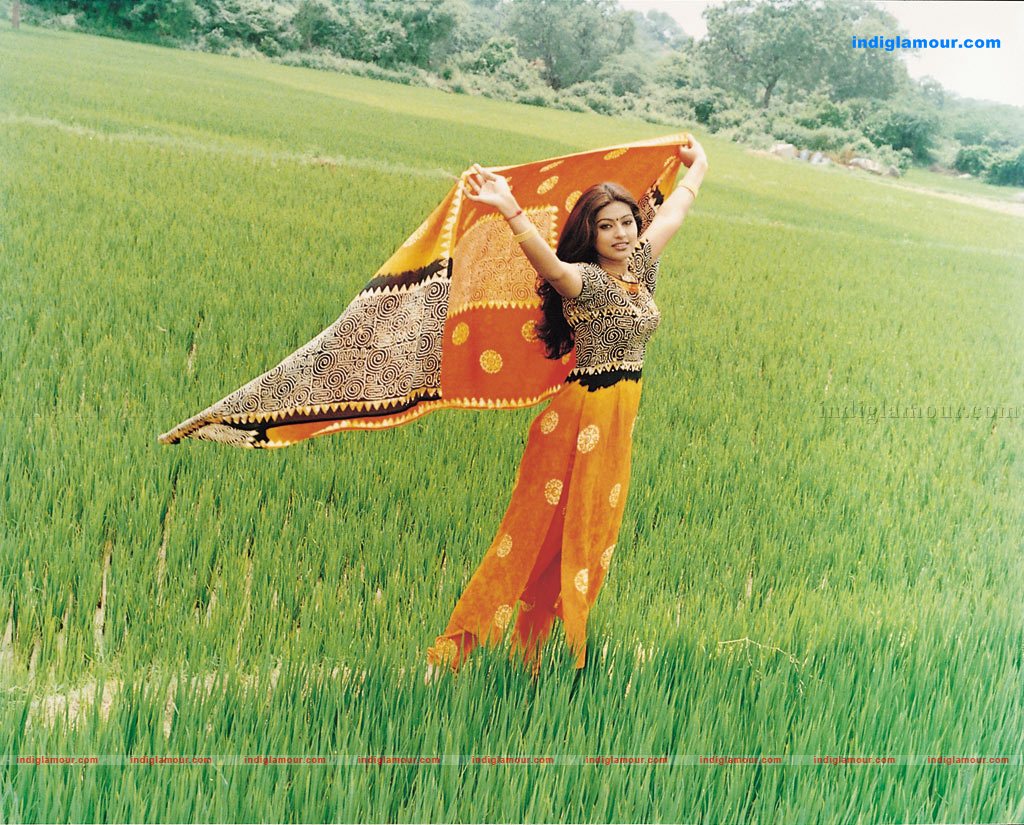 SingaKottai Movie hd photo