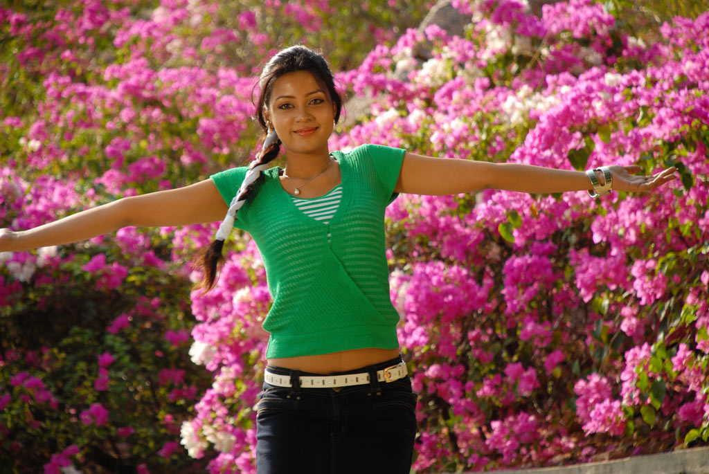 Parithi Movie hd photo