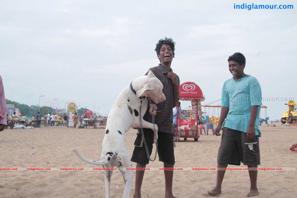 Marina Movie hd photo