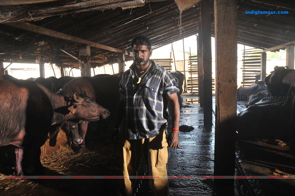 Aadu Puli Movie hd photo