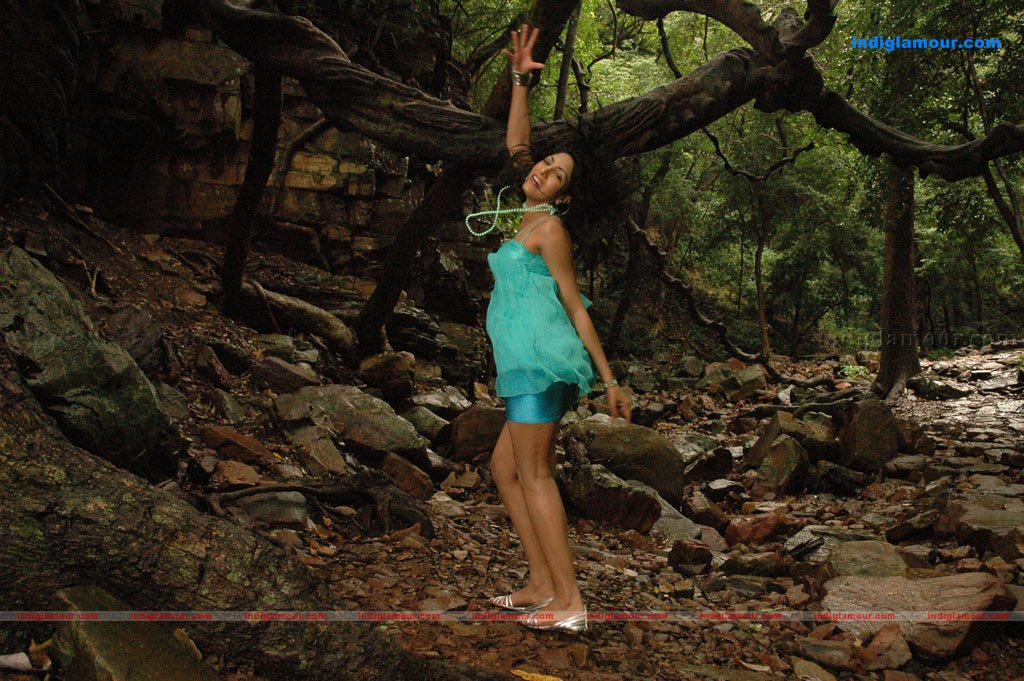 Dhigil Movie hd photo