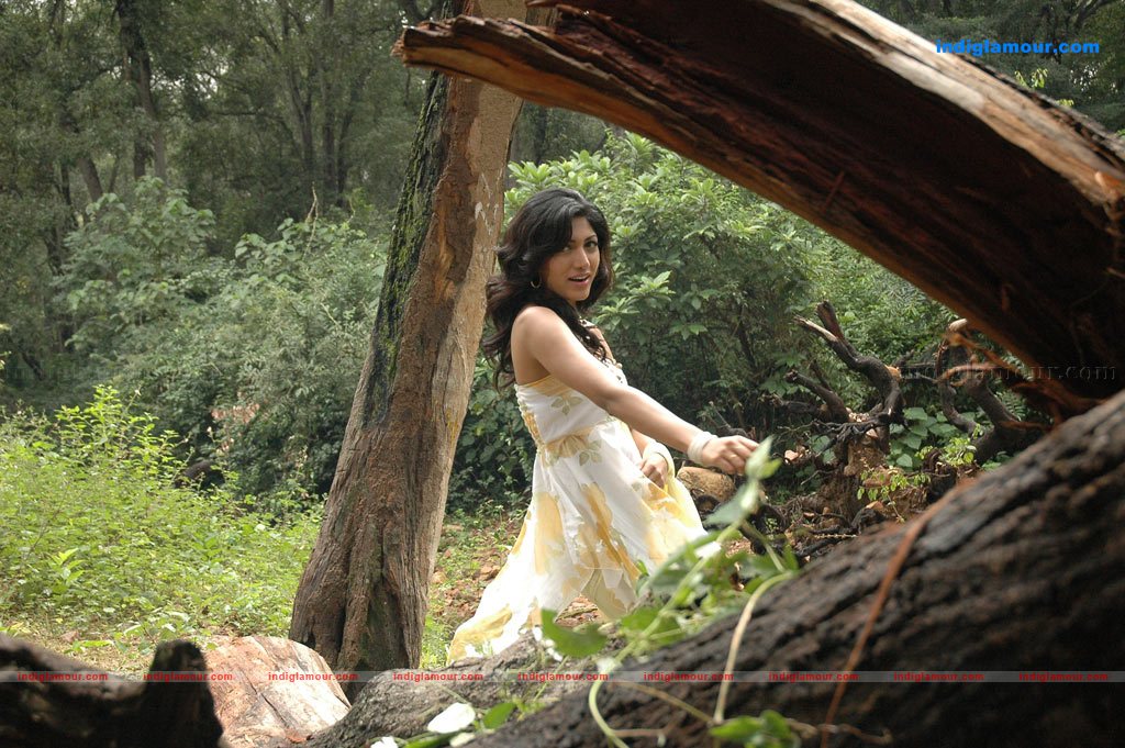 Dhigil Movie hd photo