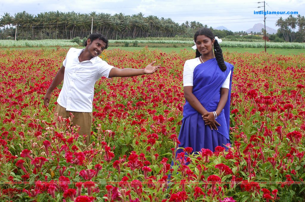 Tenkasi Pakkathula Movie hd photo