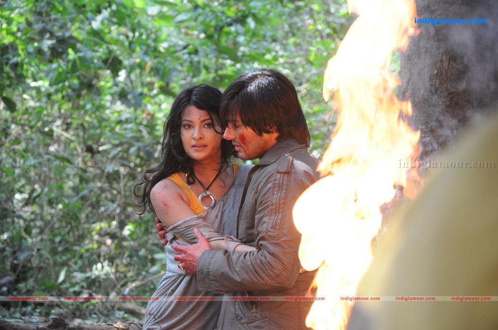 Kaatu Puli Movie hd photo