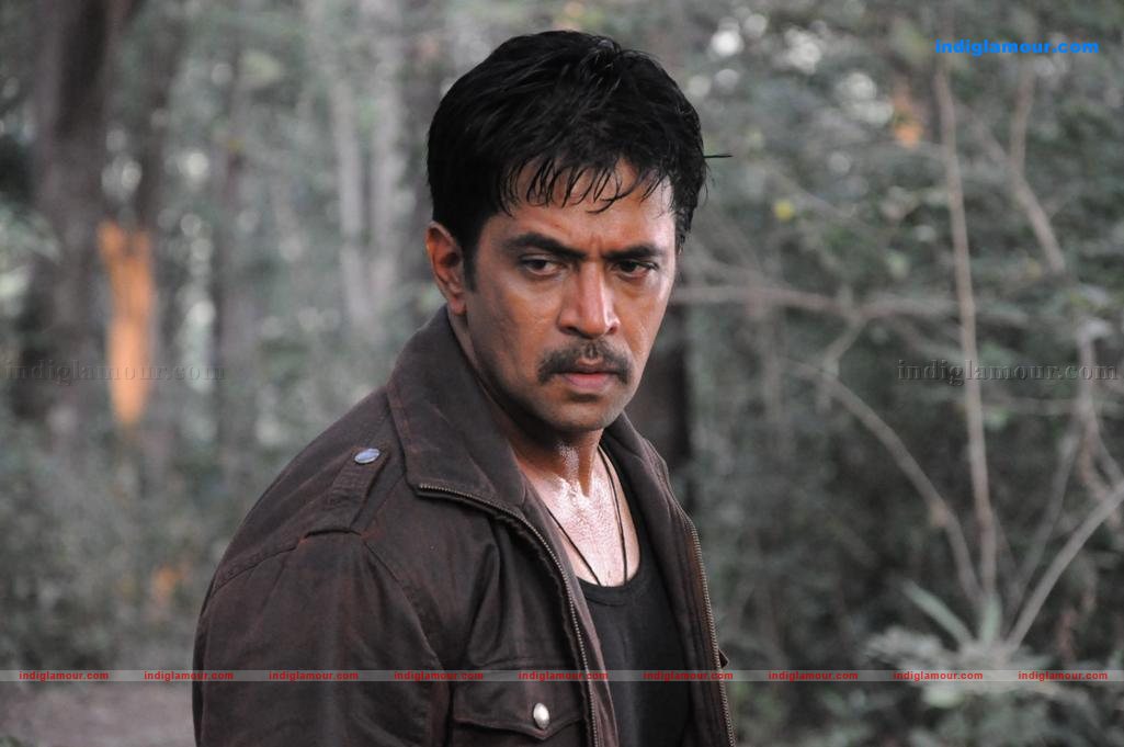 Kaatu Puli Movie hd photo