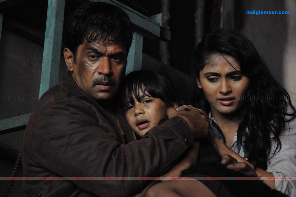 Kaatu Puli Movie hd photo