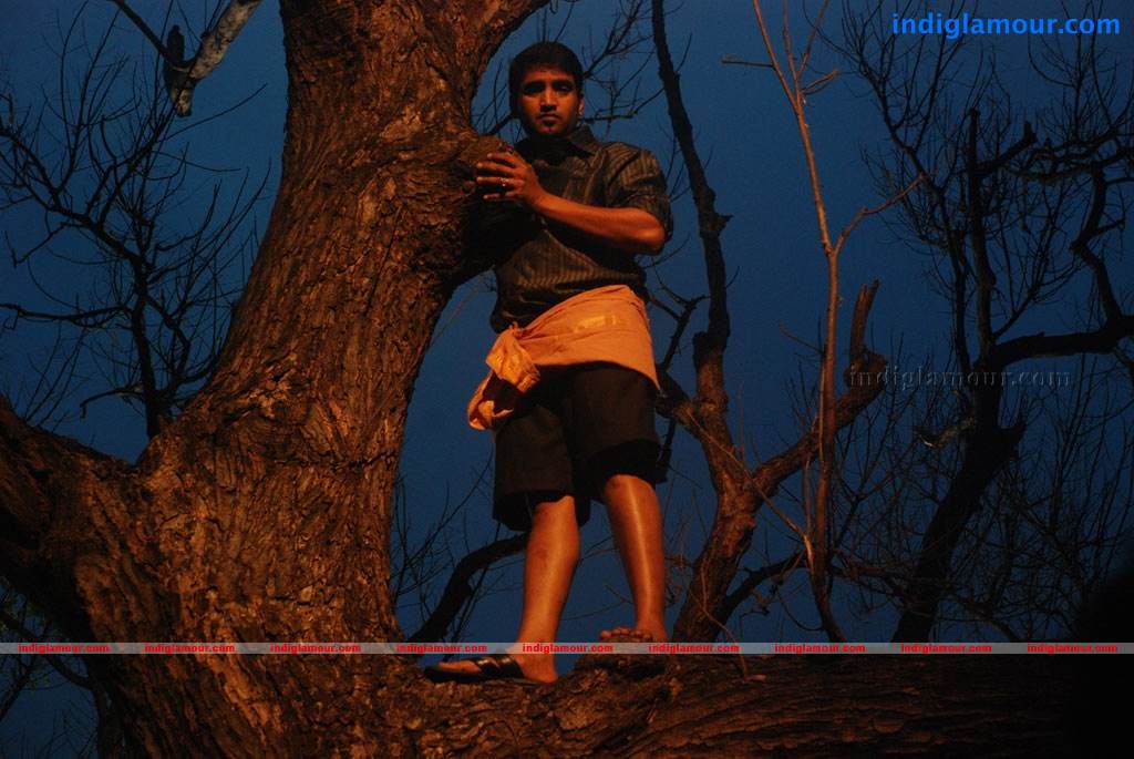 Kanna Laddu Thinna Aasaiya Movie hd photo