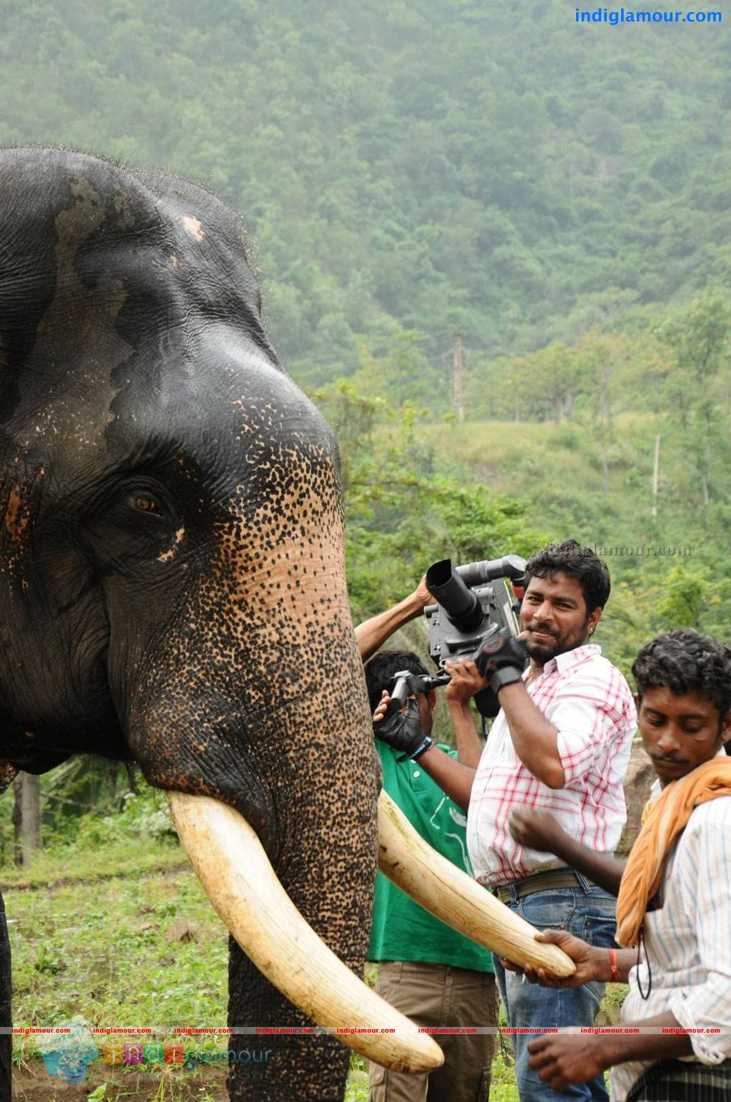 Kumki Movie hd photo