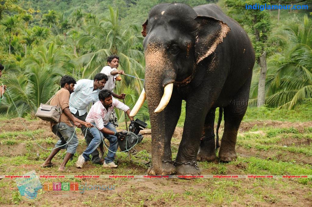 Kumki Movie hd photo