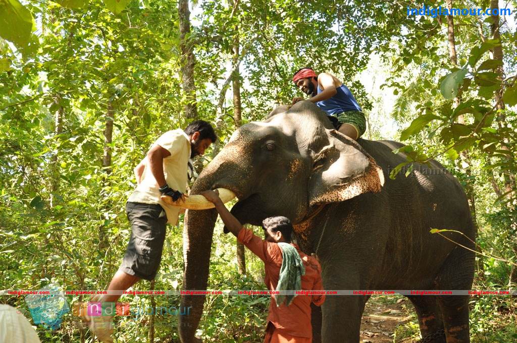 Kumki Movie hd photo