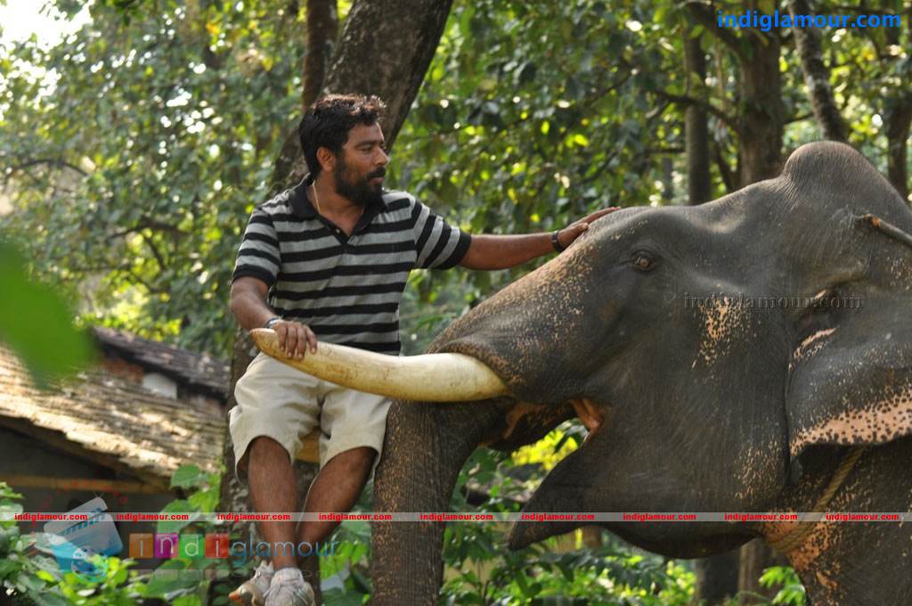 Kumki Movie hd photo