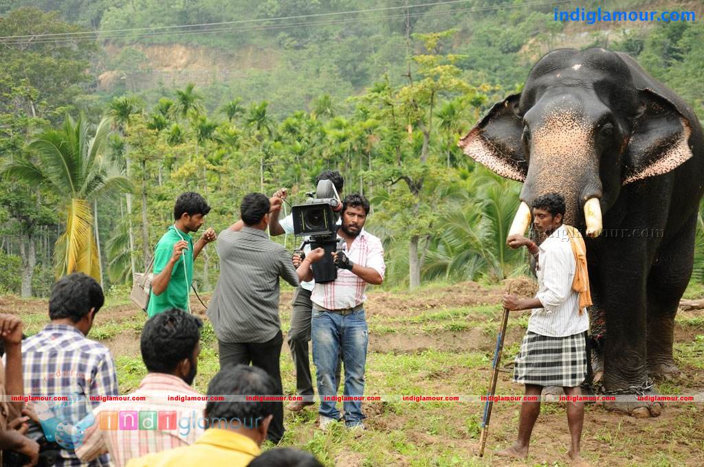 Kumki Movie hd photo