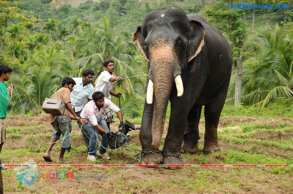 Kumki Movie hd photo