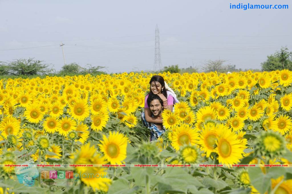 Swasame Movie hd photo