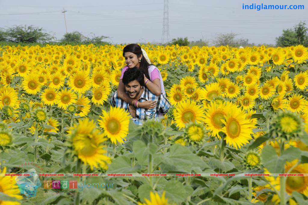 Swasame Movie hd photo