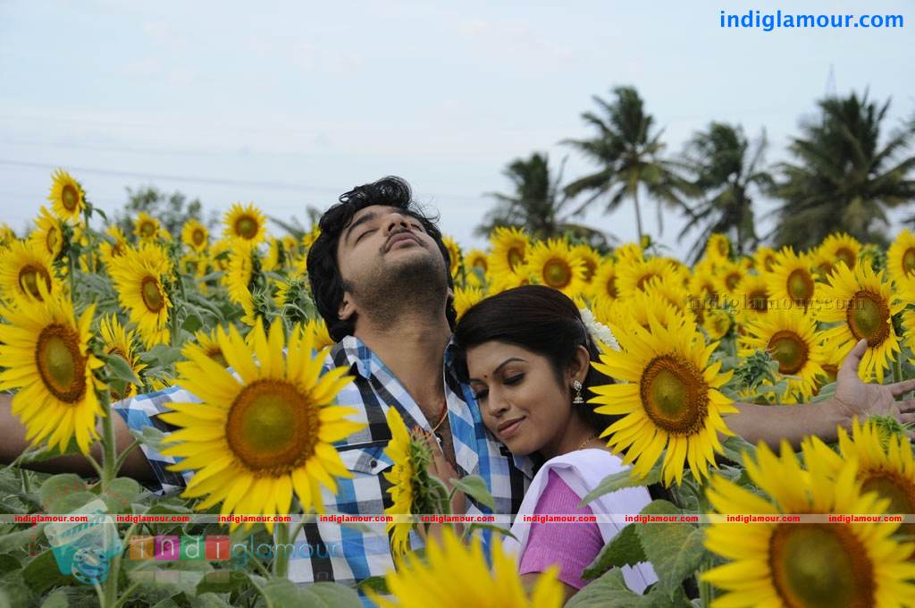 Swasame Movie hd photo