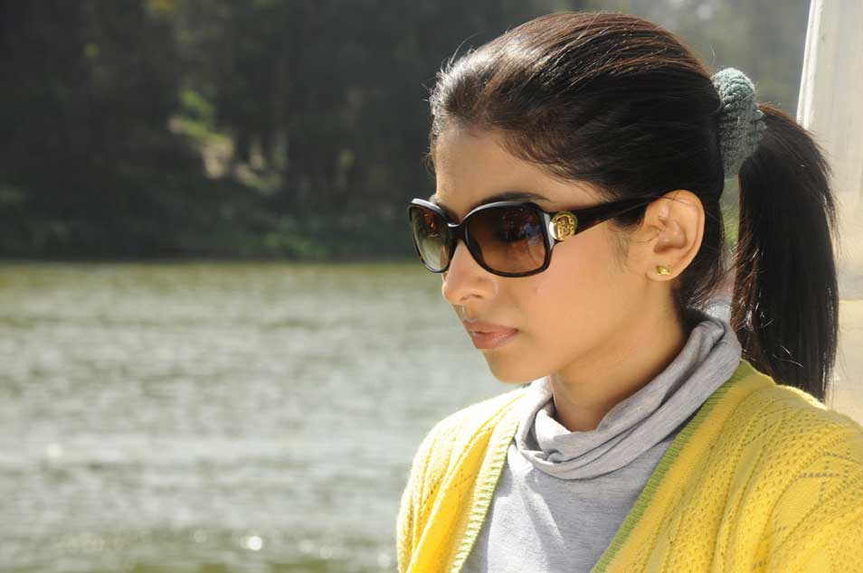 Vinmeengal Movie hd photo