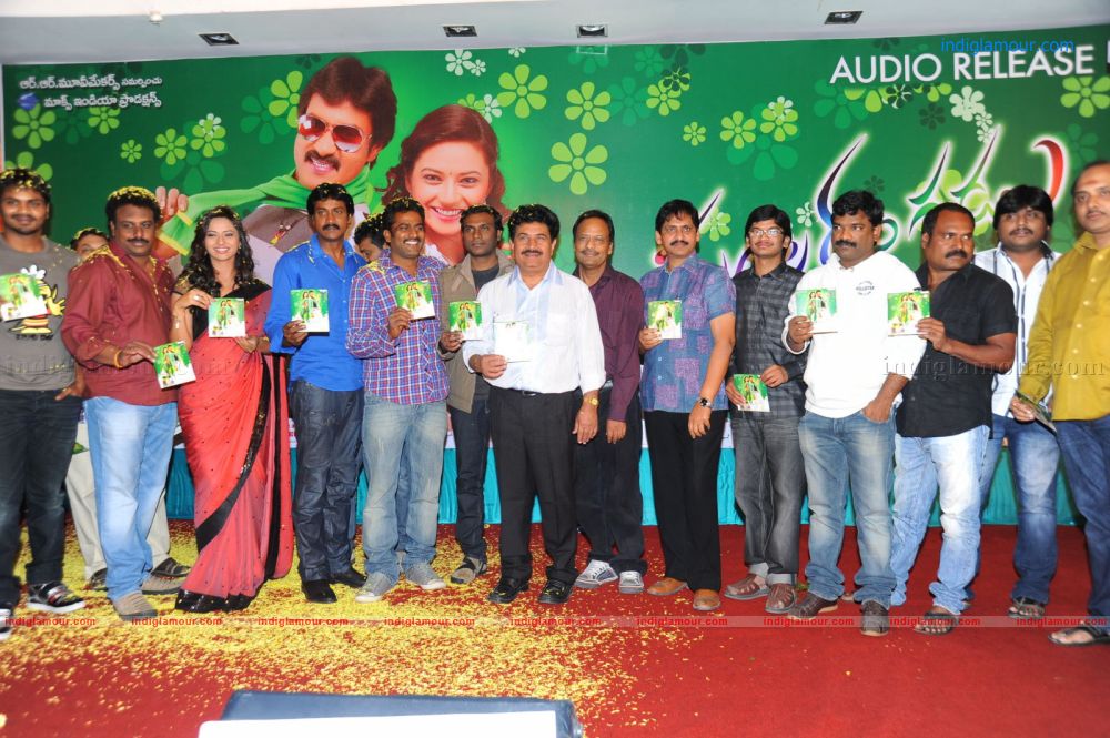 Poola Rangadu Audio Release Stills Event hd photo