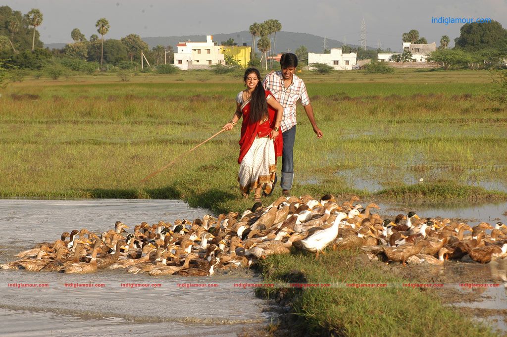 Manam Kothi Paravai Movie hd photo