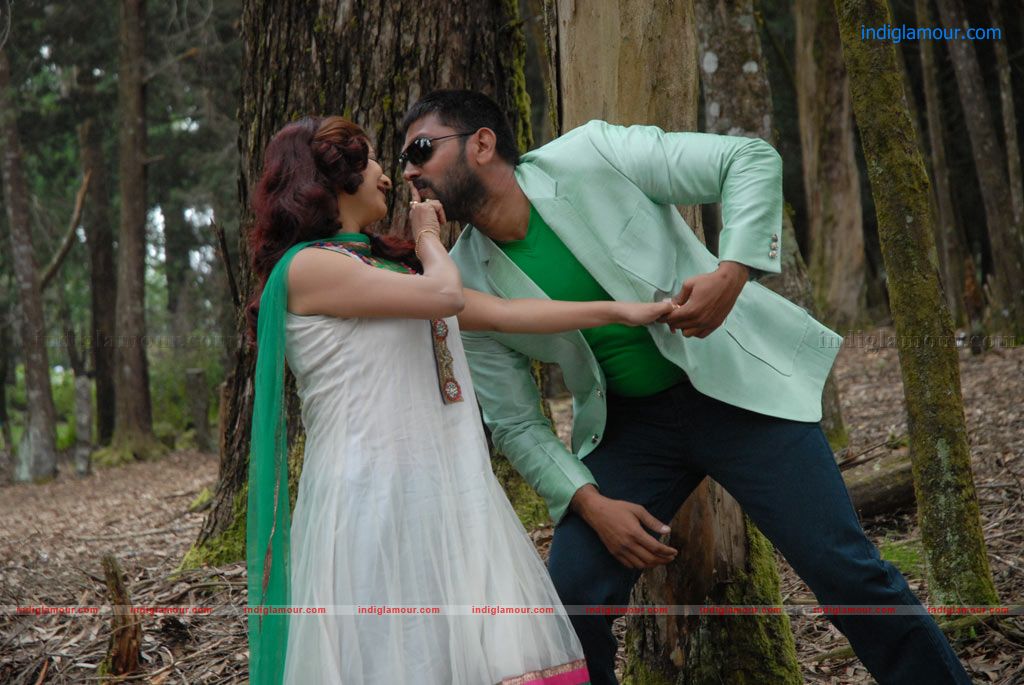 Meen Kothi Movie hd photo