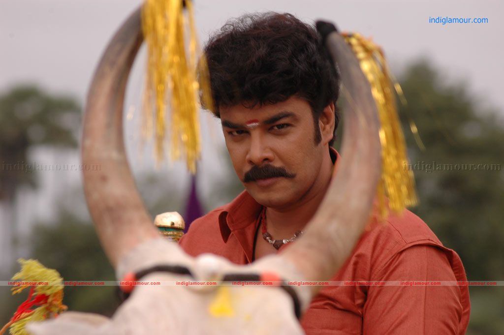 Murattu Kaalai Movie hd photo
