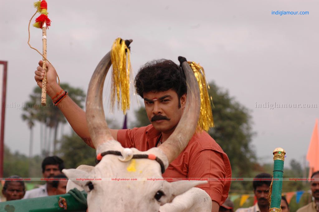 Murattu Kaalai Movie hd photo