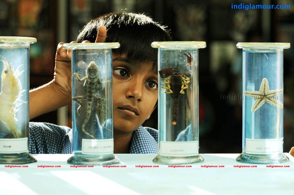 Haridas Movie hd photo