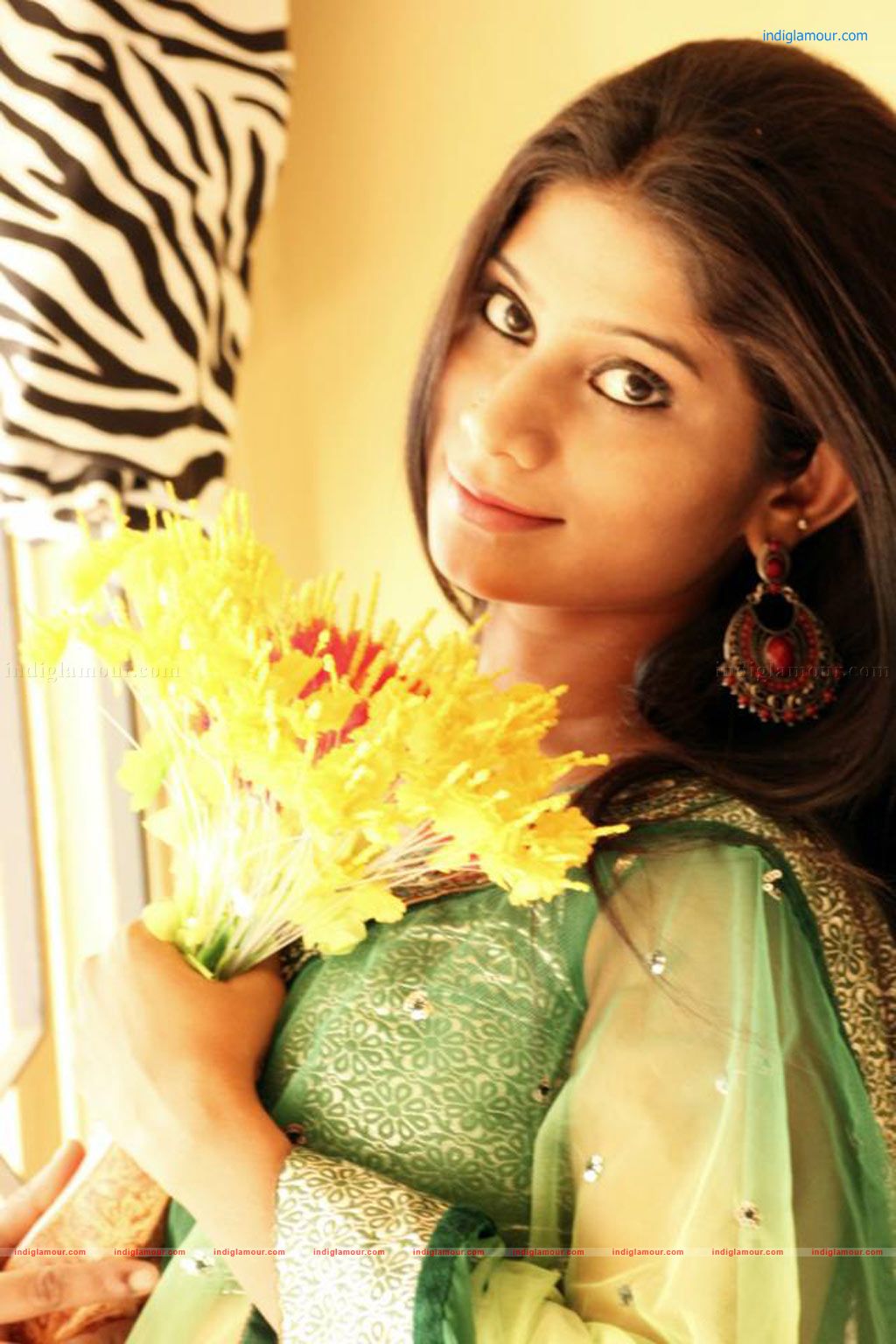 Vennilavin Arangetram Movie hd photo