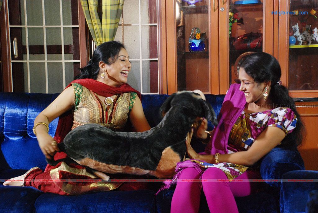 Bommai Naigal Movie hd photo
