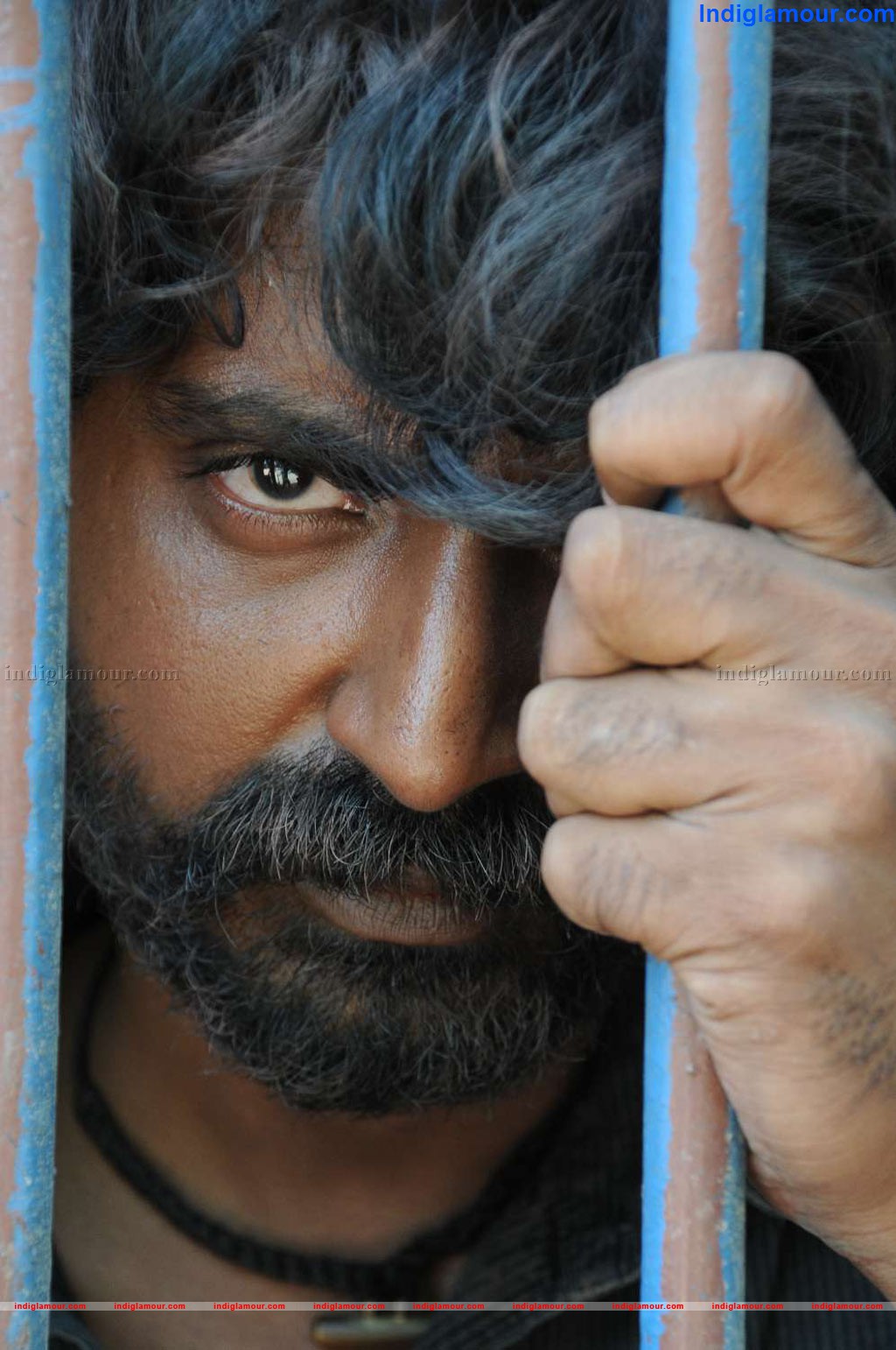 Thekulikum Pachai Maram Movie hd photo