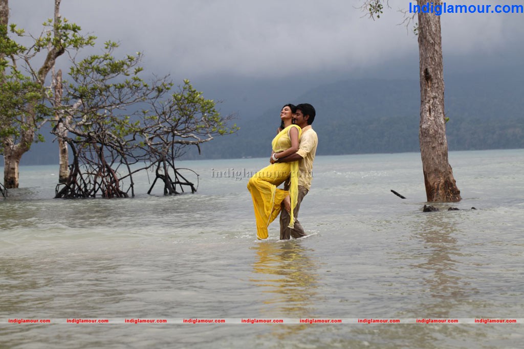 Ethir Neechal Movie hd photo
