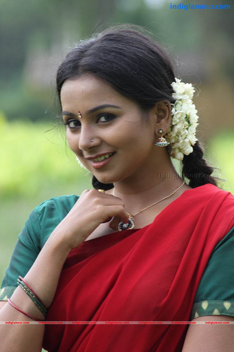 Nagaraja Cholan MA MLA Movie hd photo