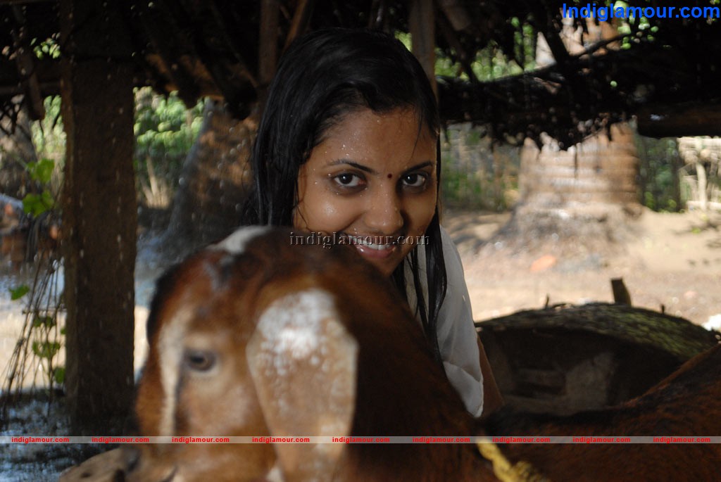 Gnana Kirukkan Movie hd photo