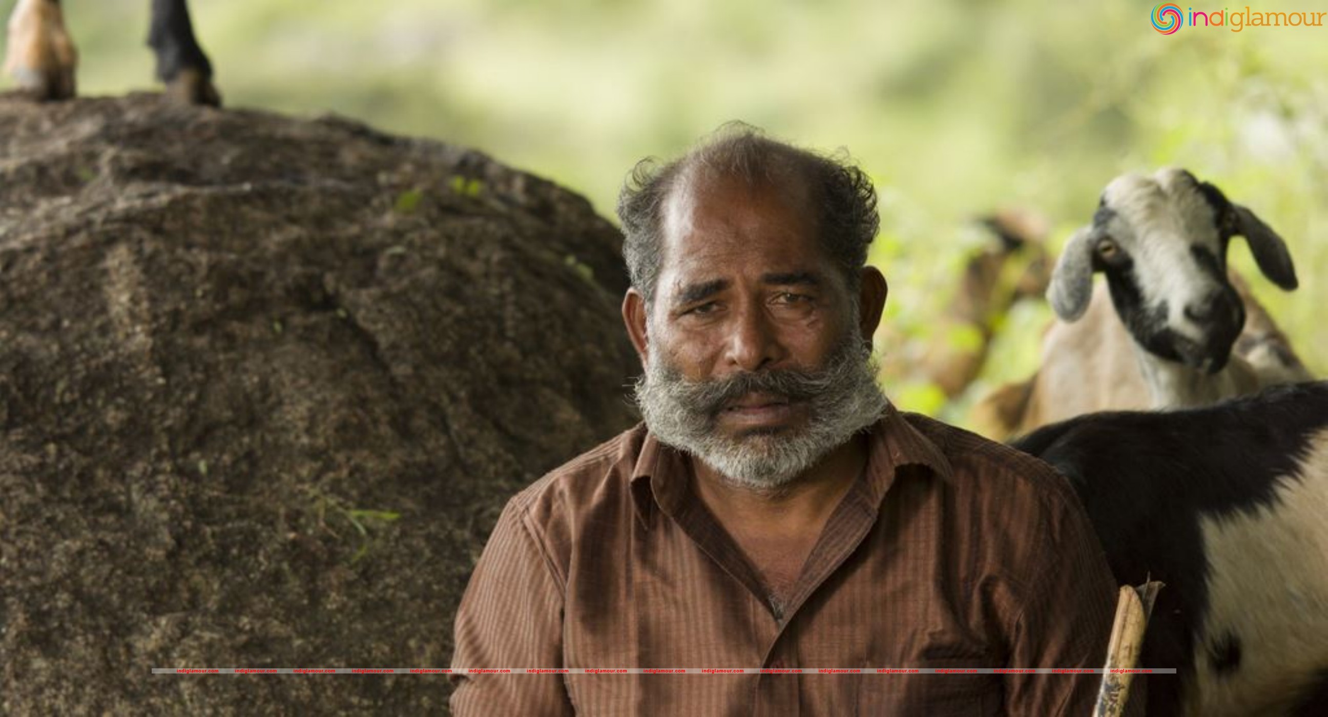 Maanasi Movie Stills Movie hd photo