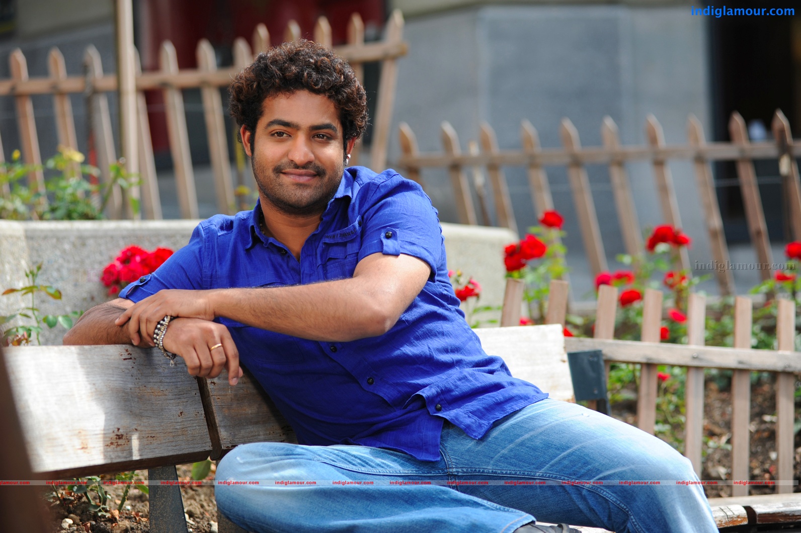 Jr NTR Actor hd photo