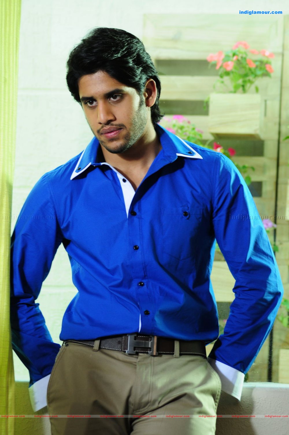 Naga Chaitanya Actor hd photo