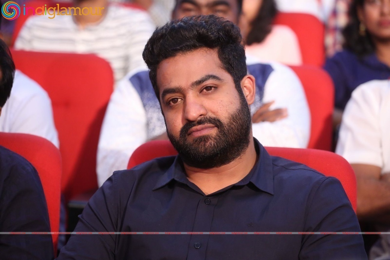 Jr NTR Actor hd photo