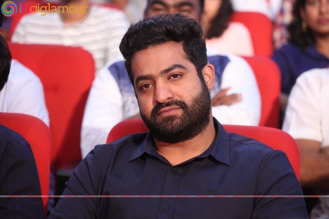 Jr NTR Actor hd photo