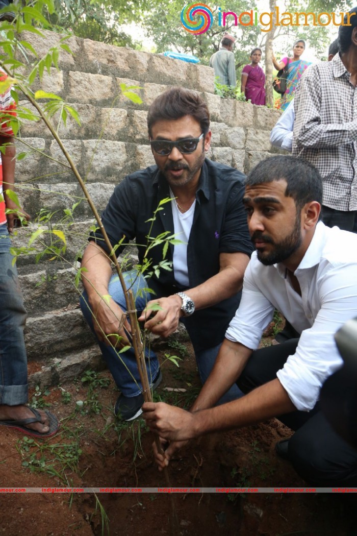 Daggubati Venkatesh Photos Gallery Actor hd photo