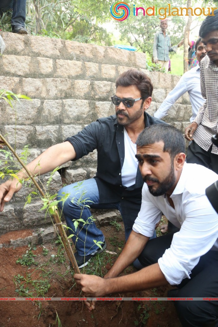 Daggubati Venkatesh Photos Gallery Actor hd photo