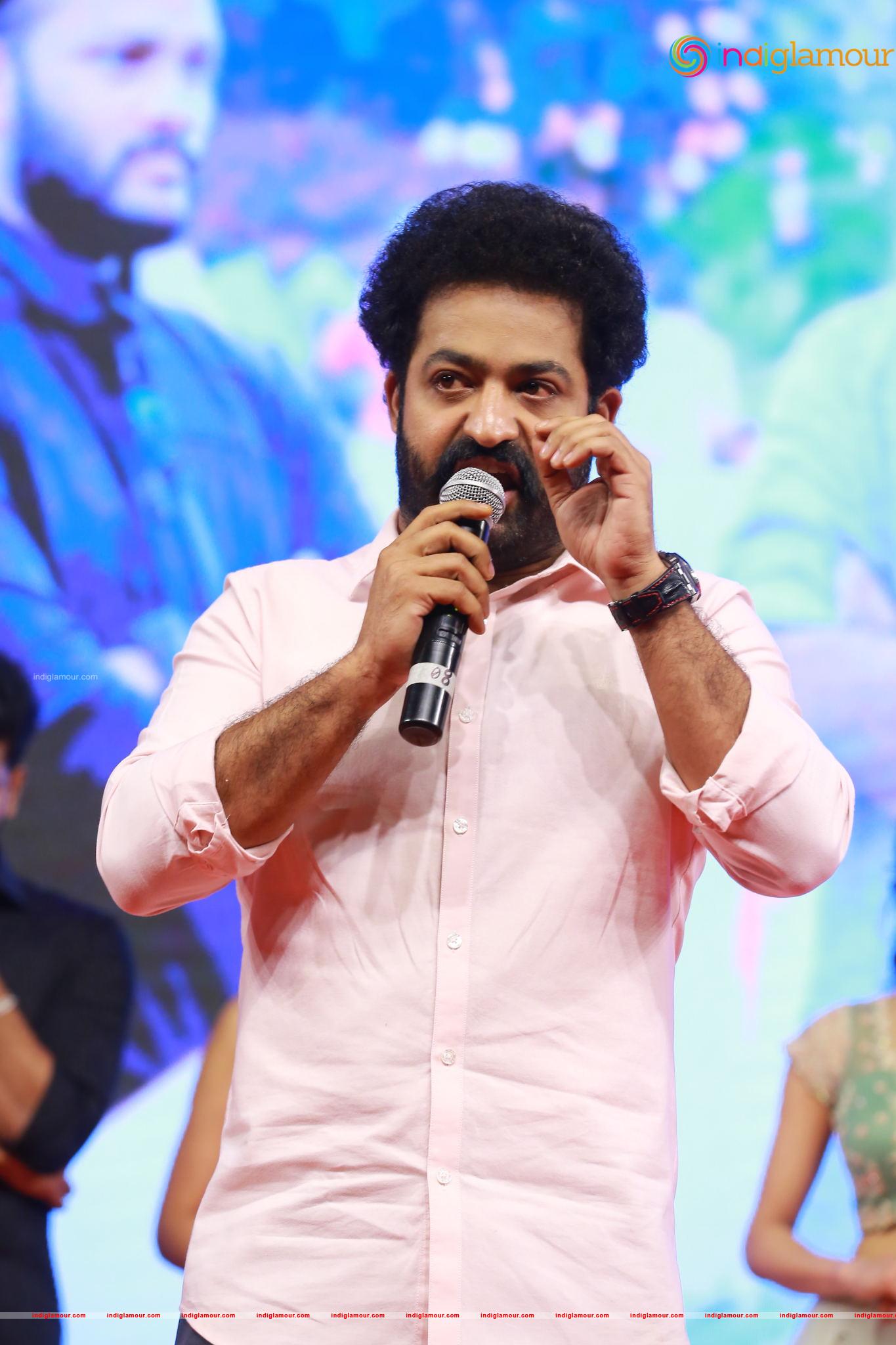 Jr NTR Actor hd photo