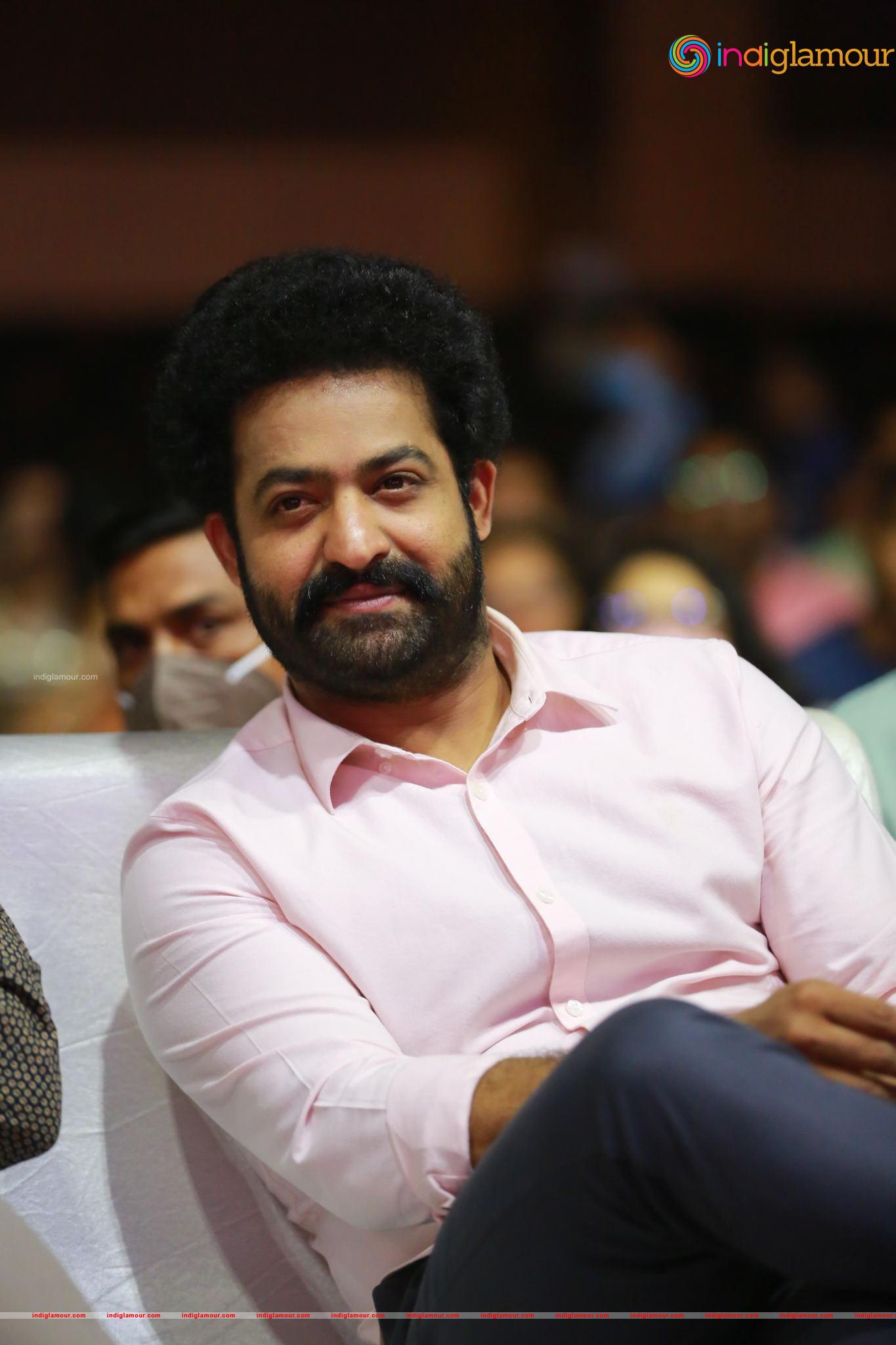 Jr NTR Actor hd photo